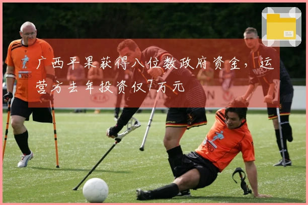 广西平果获得八位数政府资金，运营方去年投资仅7万元