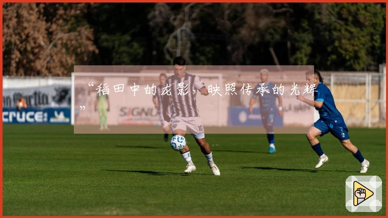 “稻田中的龙影，映照传承的光辉”